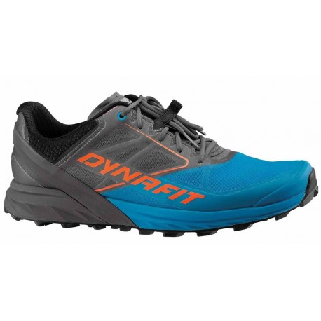 CHAUSSURES DYNAFIT ALPINE MAGNET/FROST POUR HOMMES