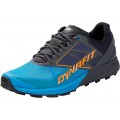 CHAUSSURES DYNAFIT ALPINE MAGNET/FROST POUR HOMMES