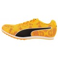 CHAUSSURES PUMA EVOSPEED STAR 8 SUN STREAM/SUNSET GLOW/BLACK UNISEXE