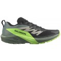 CHAUSSURES SALOMON SENSE RIDE 5 BLACK/LAUREL WREATH/GREEN GECKO POUR HOMMES