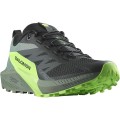 CHAUSSURES SALOMON SENSE RIDE 5 BLACK/LAUREL WREATH/GREEN GECKO POUR HOMMES