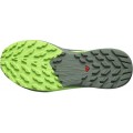 CHAUSSURES SALOMON SENSE RIDE 5 BLACK/LAUREL WREATH/GREEN GECKO POUR HOMMES