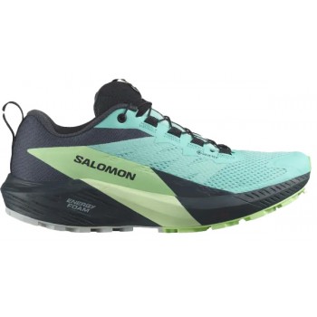 CHAUSSURES SALOMON SENSE RIDE 5 GTX BLUE RADIANCE/GREEN ASH/INDIA INK POUR FEMMES